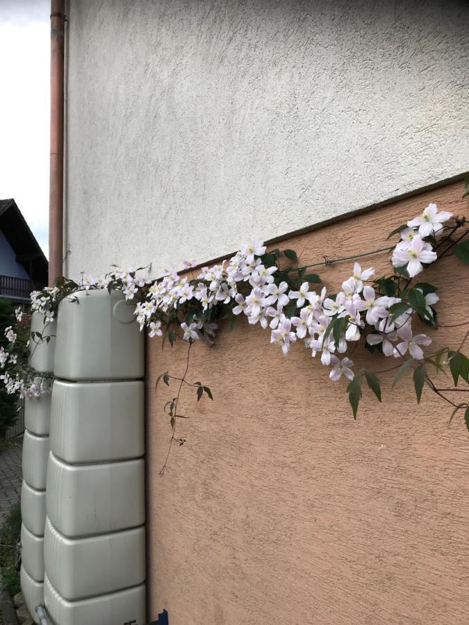 Appart Les Cerises Entre Strasbourg Et Haguenau Bischwiller Εξωτερικό φωτογραφία