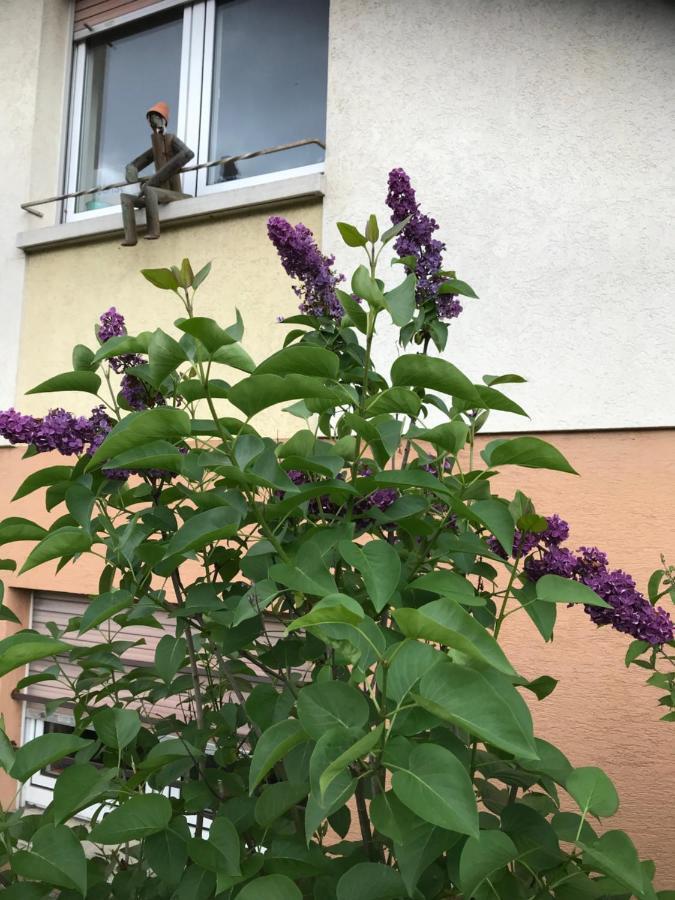 Appart Les Cerises Entre Strasbourg Et Haguenau Bischwiller Εξωτερικό φωτογραφία